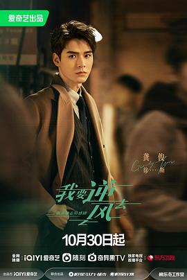 狮山seo优化托管